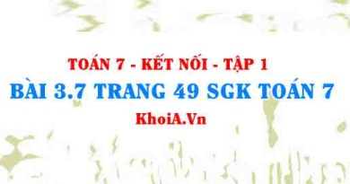 Bài 3.7 trang 49 SGK Toán 7 tập 1 Kết nối tri thức